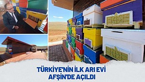 Türkiye'nin İlk Arı Evi Afşin'de Açıldı