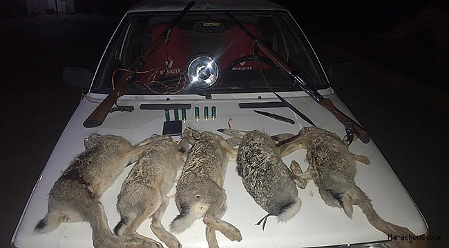 Afşin’de yasa dışı avcılara ceza yağdı