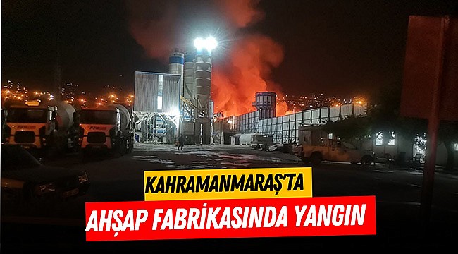 Kahramanmaraş'ta ahşap fabrikasında yangın 