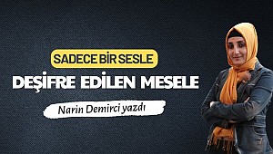 Sadece Bir Sesle, Deşifre Edilen Mesele