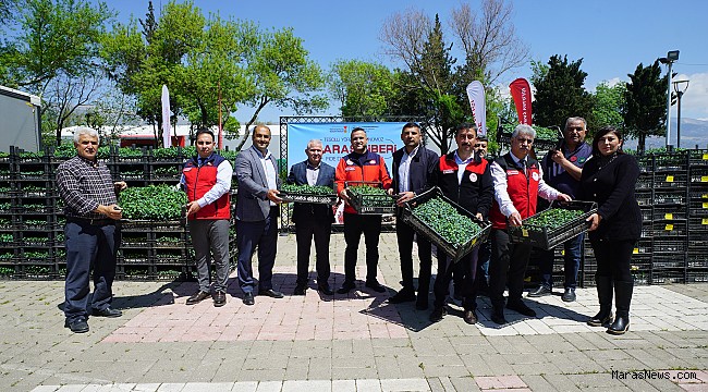 Büyükşehir’den Üreticiye 650 Bin Hibe Biber Fidesi